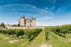 Loire Valley vineyards